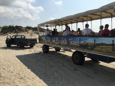 Voorjaar op Texel